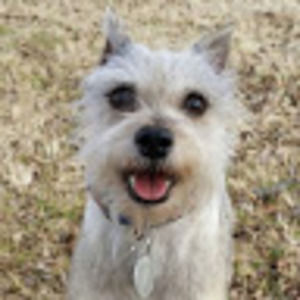 Meet your Posher, Brad